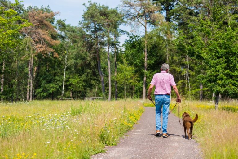 man laat hond uit op natuurbegraafplaats